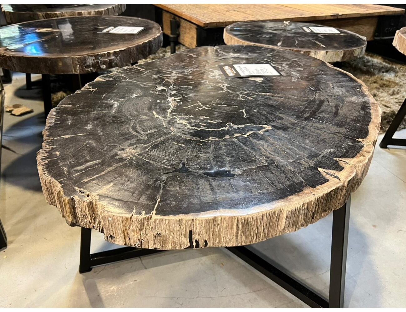 Cornwall Bekwaamheid temperament Salontafel versteend hout unieke tafel fossiel