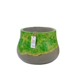 Vaas Groen Klein