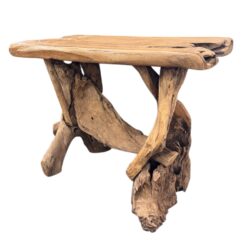 Unieke sidetable Root gemaakt van Wortel teakhout met boomstam